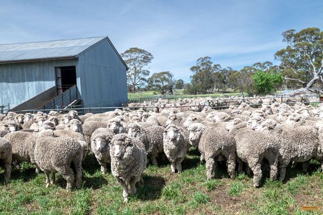 1491 Slacks Creek Road, NSW 2628