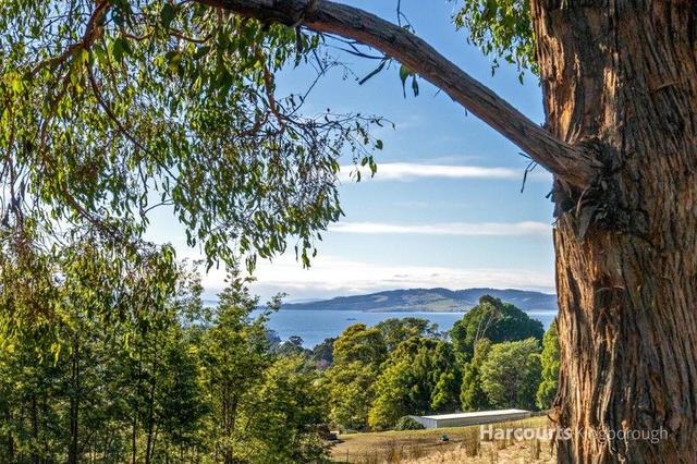 Lot 1 Cripps Road, TAS 7162