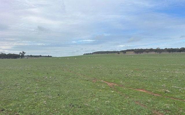 418 Donaldsons Road, NSW 2705