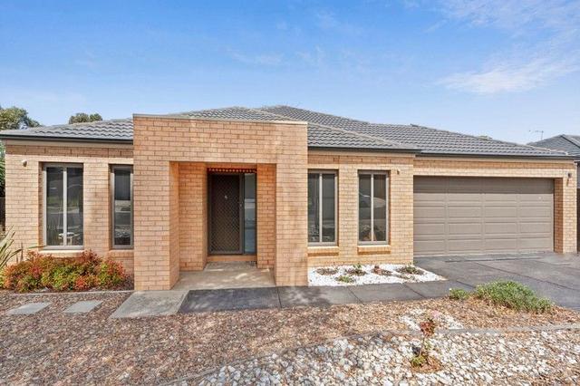 19 Yellow Gum Way, VIC 3024