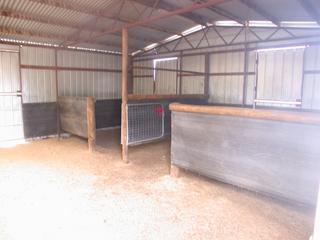 Inside stables (2006-11-28)
