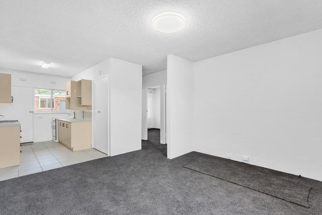 3/5 Parry Street, NSW 2445