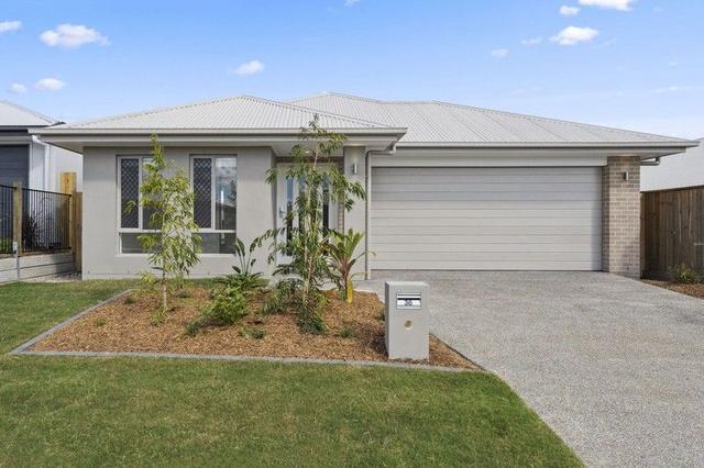 36 Bellenden Street, QLD 4207