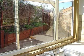 Rear yard (2005-09-08)