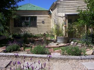 Garden (2008-05-10)
