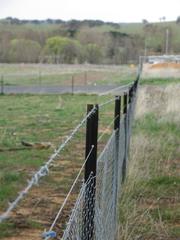 Rear boundary fence