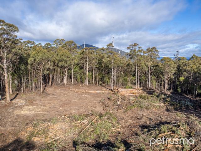 29 Middle Road, TAS 7150