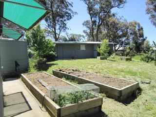 Veggie Gardens