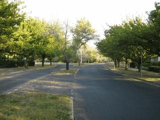 View of street