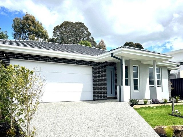 20 Wynnlea Place, VIC 3140