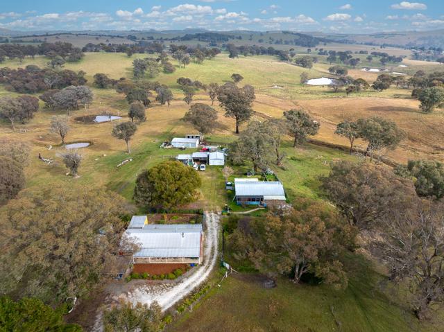 695 Caloola Road, NSW 2795