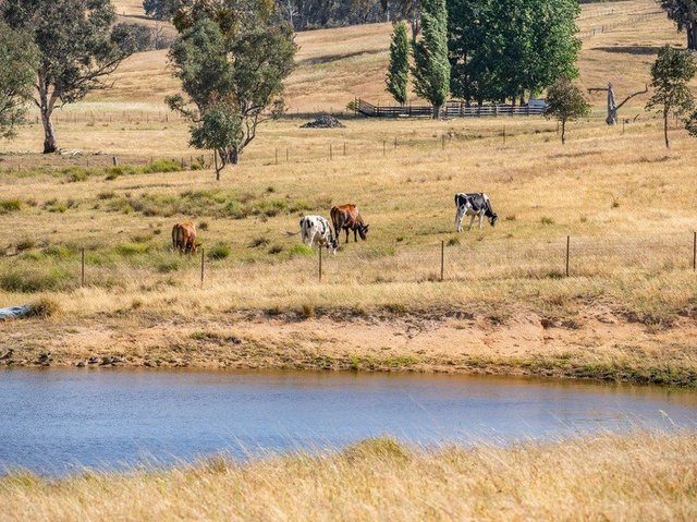 3705 Frogmore Road, NSW 2794