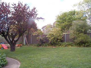 Rear garden