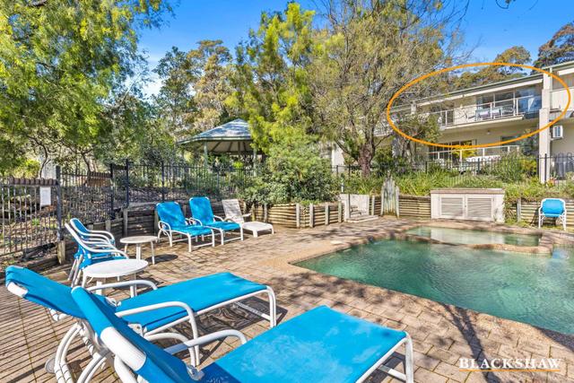 24/12 Newth Place, NSW 2536