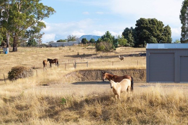 121 Davis Road, TAS 7304