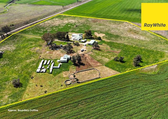 80 Wades Lane, NSW 2360