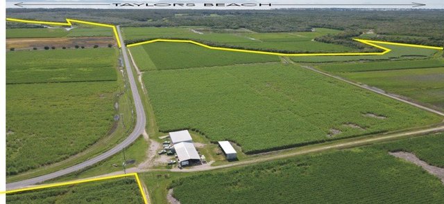 260 Taylors Beach Road, QLD 4850