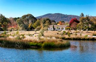 Wetlands (2013-04-29)