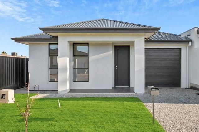 17 Camellia Street, SA 5096