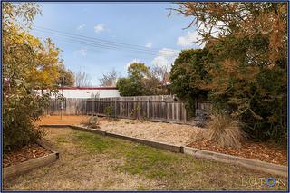 Backyard (2013-06-20)