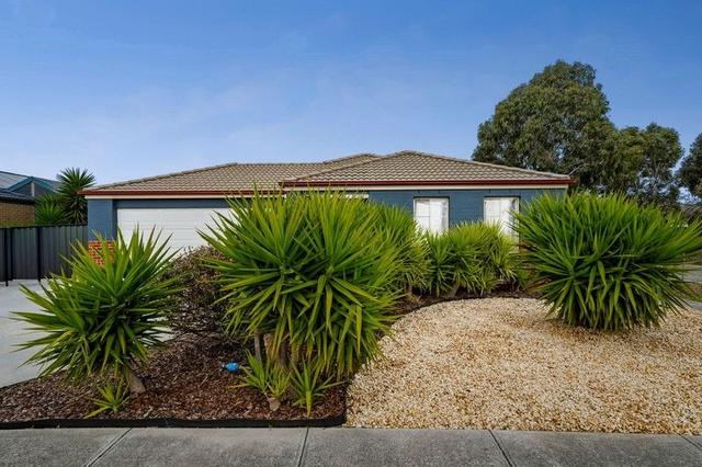 11 Vesper Avenue, VIC 3029