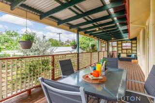 21Angophora_20191112-18.jpg (2019-11-14)
