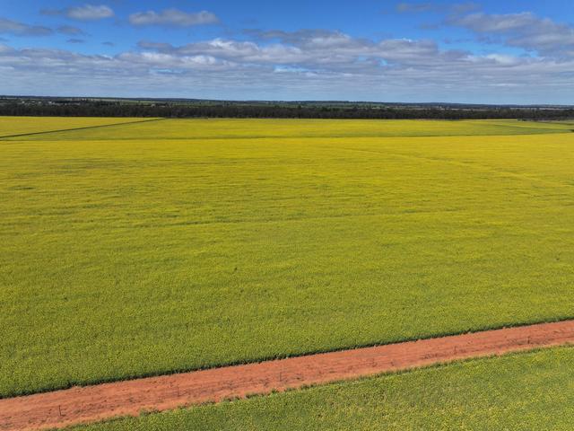 'Emerald Hills' 87 Gardners Road, NSW 2665