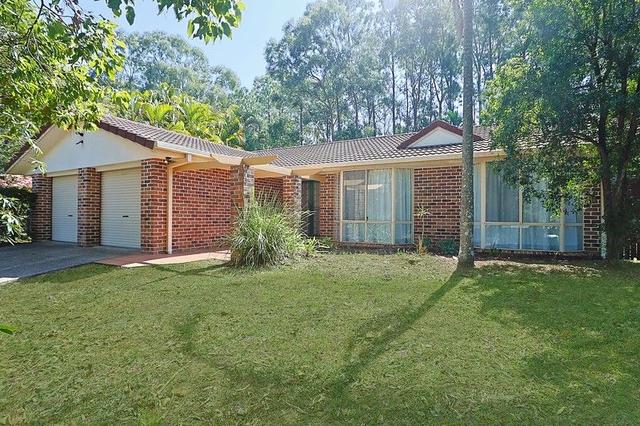 3 Agathis Place, QLD 4078