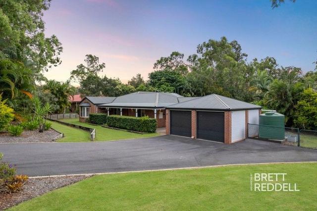 16 Renford Court, QLD 4208