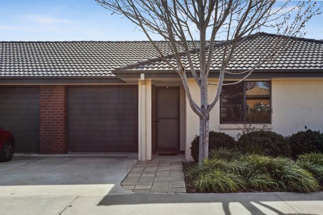 19/71 Lawrenson Circuit, ACT 2914