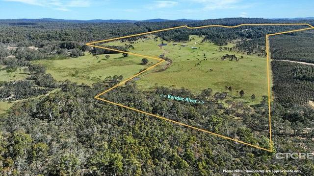 1458 Bendoc-Orbost Road, VIC 3888