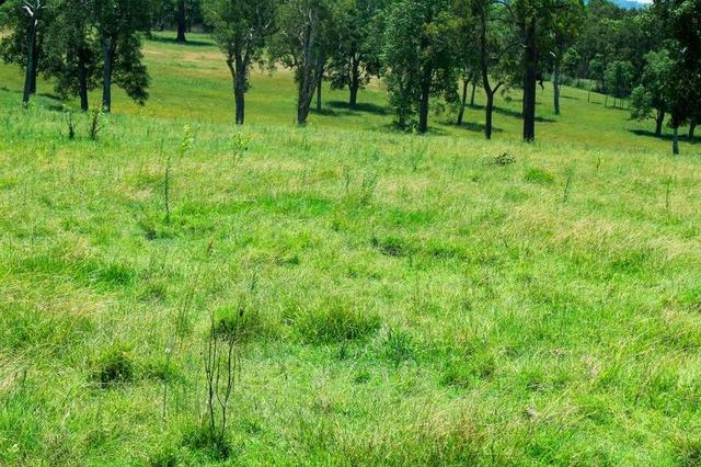 Summerland Way, NSW 2470