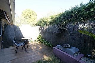 Backyard (2010-07-13)