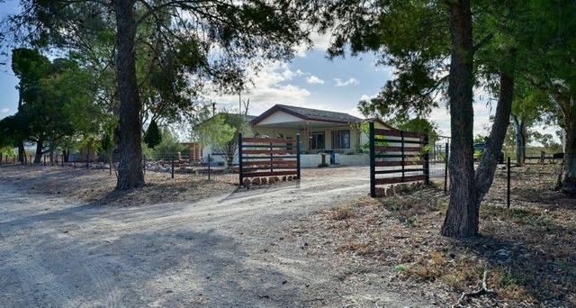 Lot 20 Donaldson Street, SA 5433