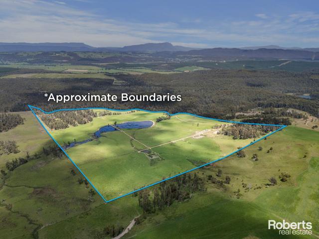 Lot 1 Cornelius Road, TAS 7307