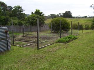 Backyard (2011-05-04)