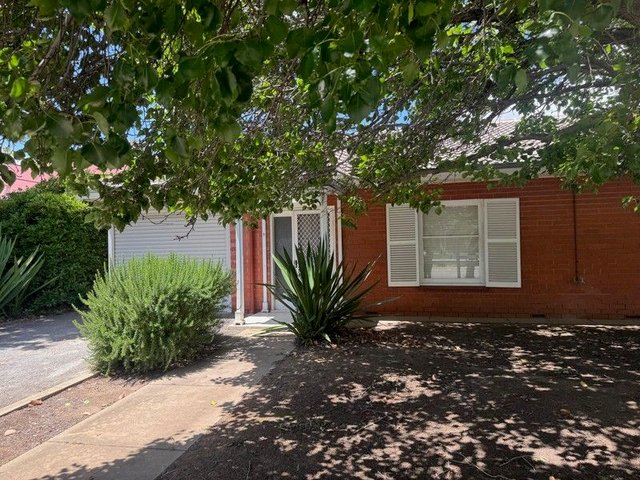 1/31 Park Terrace, SA 5081