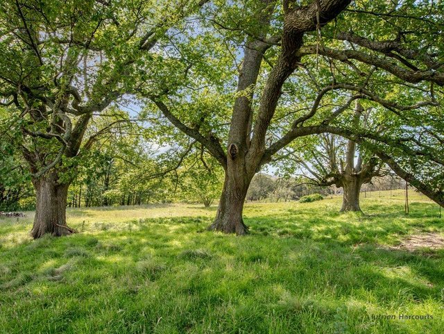 106 Cawthornes Lane, NSW 2622