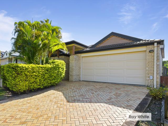 8 Piccadilly Place, QLD 4078