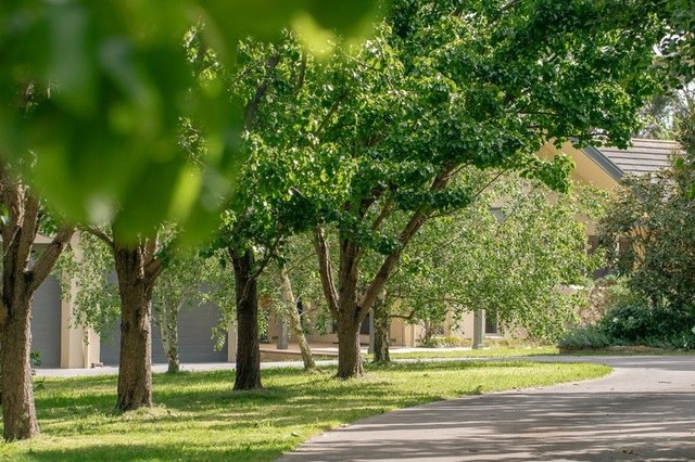 67 Bittern-Dromana Road, VIC 3926