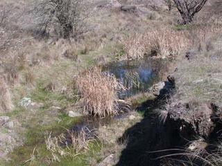 Creek (2004-09-27)