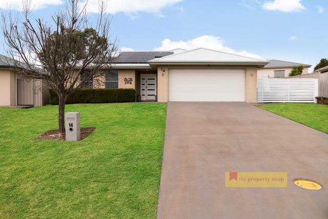 14 Palmer Avenue, NSW 2850