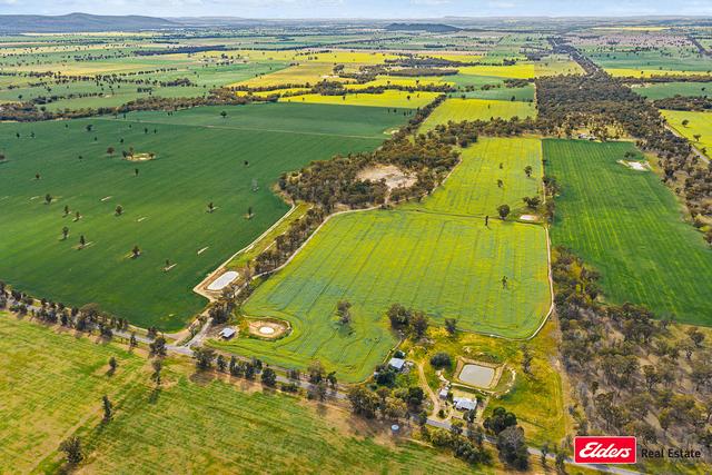 223 Morans Road, NSW 2594