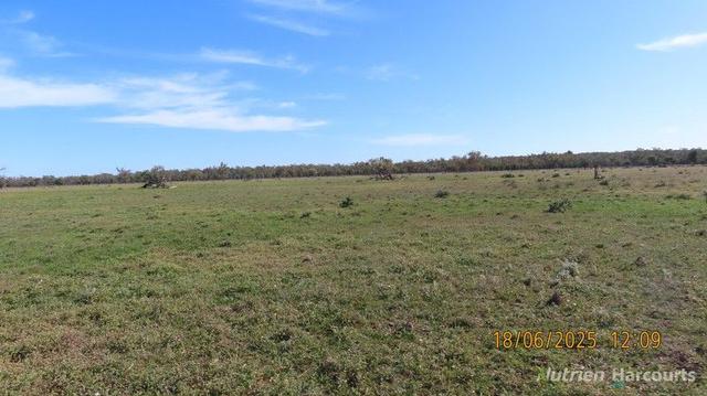 * Springvale, NSW 2832