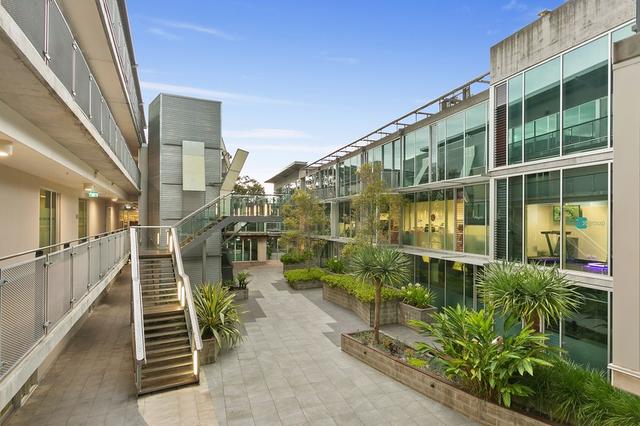 215/117 Old Pittwater Road, NSW 2100