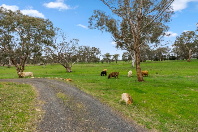 202 White Flag Road, NSW 2584