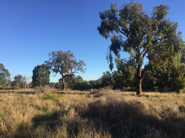 Lot 851 Grasshill Road, WA 6176