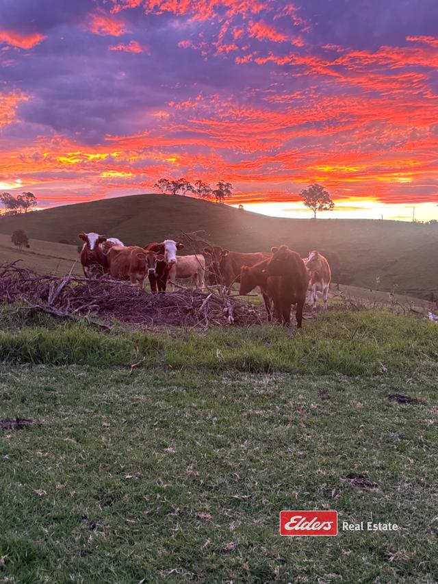 878 Wallanbah Road Wallanbah Via, NSW 2422