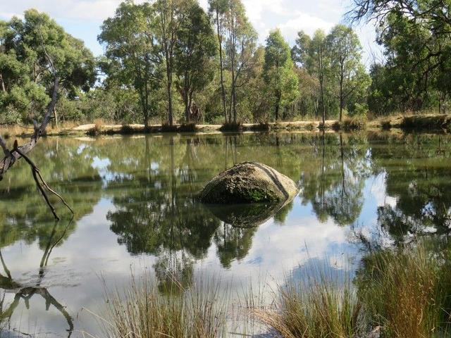 "Boondaroo" 1697 Bingara Road, NSW 2359