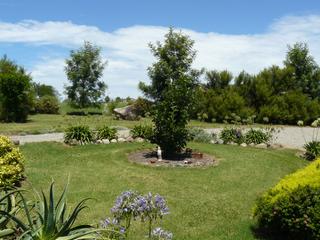 Garden (2011-08-01)